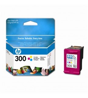 HP 300 Color Renkli Kartuş CC643EE