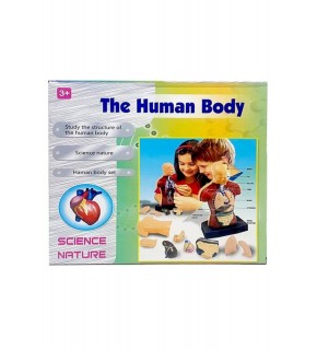 Human Body Kutulu İnsan Vücudu 3301