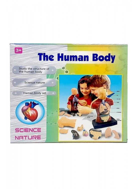 Human Body Kutulu İnsan Vücudu 3301