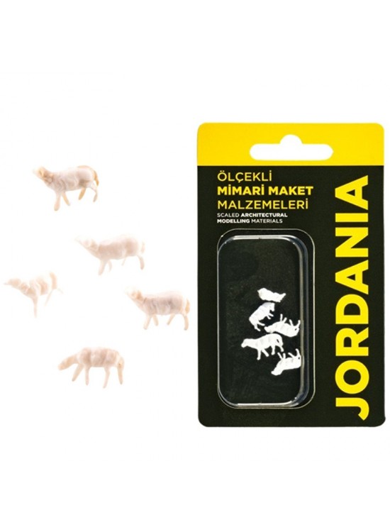 Jordania Koyun 1/100 (Maket Ürünüdür)