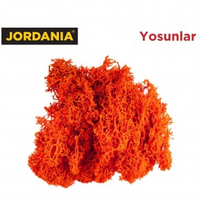 Jordania Yosun 4066 Turuncu 10 Gr JE00-0504066 (Maket Ürünüdür)