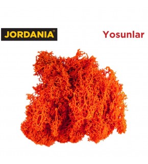 Jordania Yosun 4066 Turuncu 10 Gr JE00-0504066 (Maket Ürünüdür)