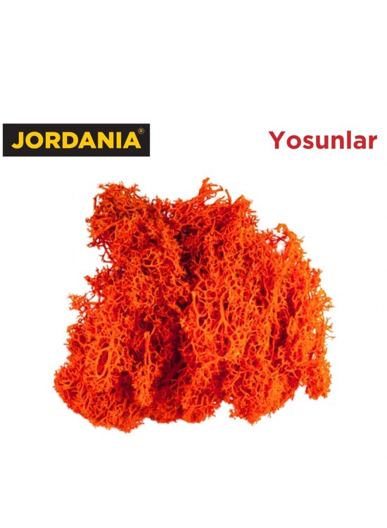 Jordania Yosun 4066 Turuncu 10 Gr JE00-0504066 (Maket Ürünüdür) Jordania Yosun 4066 Turuncu 10 Gr JE00-0504066 (Maket Ürünüdür)