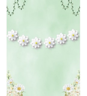 Kağıt Banner Papatya Tema Ponponlu 6 Parça