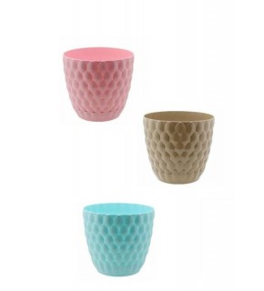 Kaktüs Kozalak Yuvarlak Saksı ALY-122