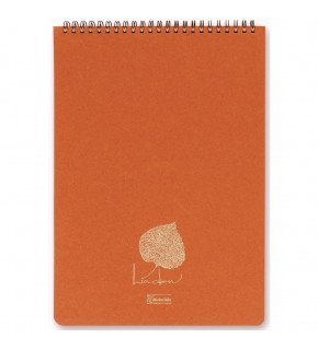 Keskin Color Bloknot Spiralli Linden Ofis A4 80 YP Çizgili 146431-99