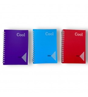 Keskin Color Defter Plastik Kapak Spiralli Cool A6 80 Yaprak Kareli (1 Adet)