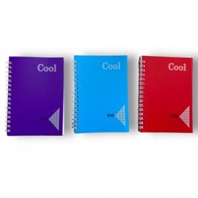 Keskin Color Defter Plastik Kapak Spiralli Cool A6 80 YP Kareli (1 Adet)