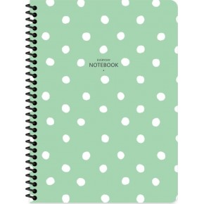 Keskin Color Defter Plastik Kapak Spiralli 16,5x22,5 80 Yp.Çiz.321141-99