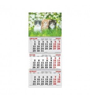 Keskin Color Denizci Takvim 3 Aylık Spiralli Jumbo Kediler 2026