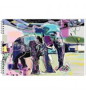 Keskin Color Resim Defteri Spiralli Basic 35x50 40 YP 304540-99 (1 Adet)