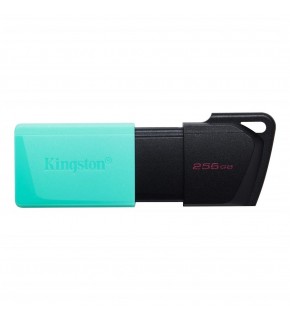 Kingston DTXM-256GB 256GB USB3.2 Gen1 DataTraveler Exodia M (Black + Teal) Flash Bellek