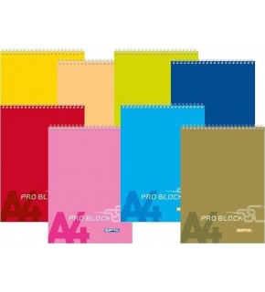 Klas Bloknot Spiralli Plastik Kapak Çizgili No:2 60 Yaprak (1 Adet)