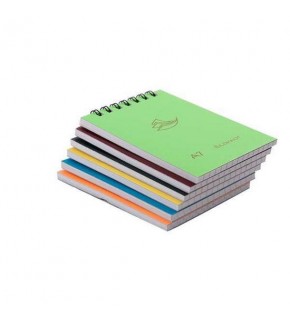 Klas Bloknot Spiralli Plastik Kapak Kareli No:1 60 Yaprak (1 Adet)