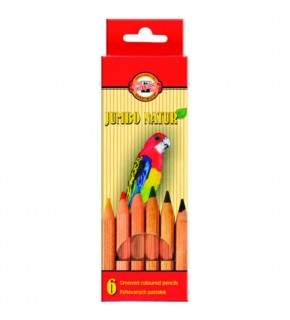 Koh-I Noor Jumbo Natur Kuru Boya Seti 6 Lı 0271