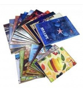 Komeks Dikişli Defter Plastik Kapak Kareli 40 Yaprak A5 40/4 (1 Adet)