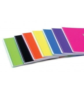 Komeks Spiralli Defter Plastik Kapak Çizgili 120 Yaprak A4 120/1 SA4 (1 Adet)