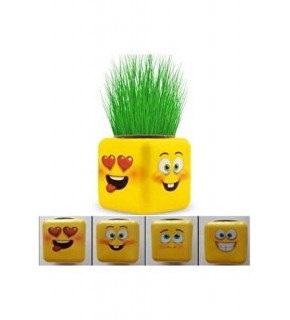Küp Çimoji Çimadam Mini Çim (1 Adet)
