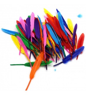 Kuş Tüyü 16cm 12 li HKD-108