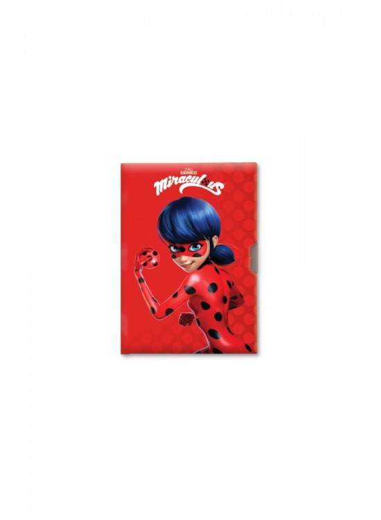 Lady Bug 14x20 80 Yp.Kilitli Hatıra Def. 310210-84