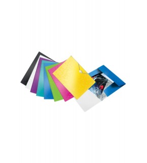 Leitz Active Wow İnce Lastikli Dosya