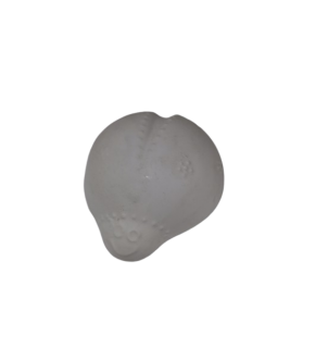 Lemur Seramik Uğur Böceği