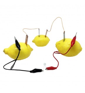 Limondan Elektrik Üretme Deney Seti (1 Adet)