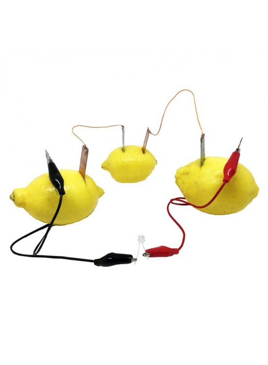 Limondan Elektrik Üretme Deney Seti (1 Adet)