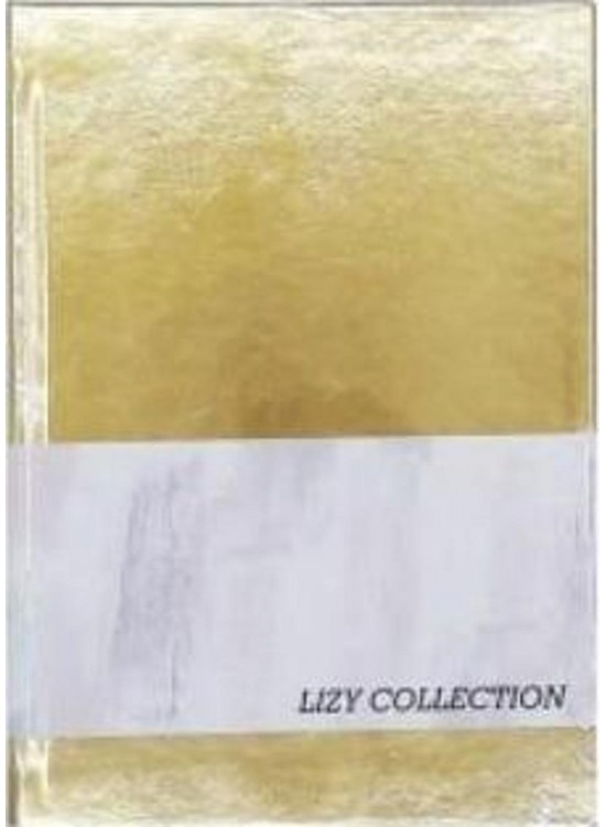 Liz Defter Mat Ayna Kapak 14x20 168 YP Çzg 70 GR