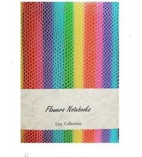 Liz Defter Raınbow Suni Deri 14x20 168 YP Çizgili