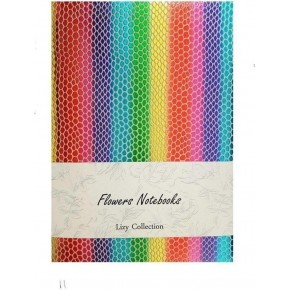 Liz Defter Rainbow Suni Deri 9x13 96 YP Çizgili