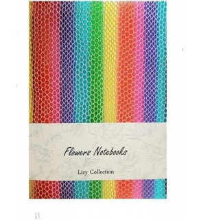 Liz Defter Rainbow Suni Deri 9x13 96 YP Çizgili