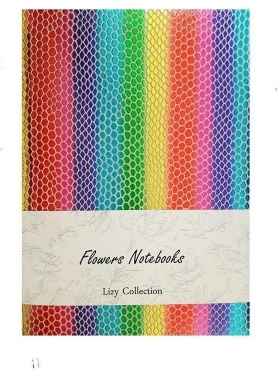 Liz Defter Rainbow Suni Deri 9x13 96 YP Çizgili