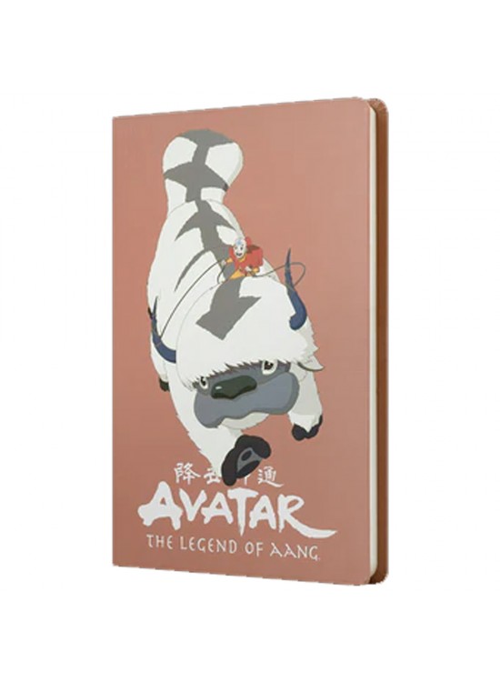 Mabbels Sert Kapak Butik Defter Avatar Appa ve Aang Puce Rengi 80 YP 15x21 DFT-388210