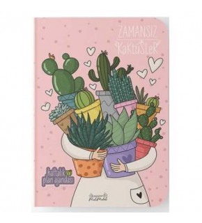 Melimelek Kaktüs Zamansız  Kaktüs Sukulent 15x21,5