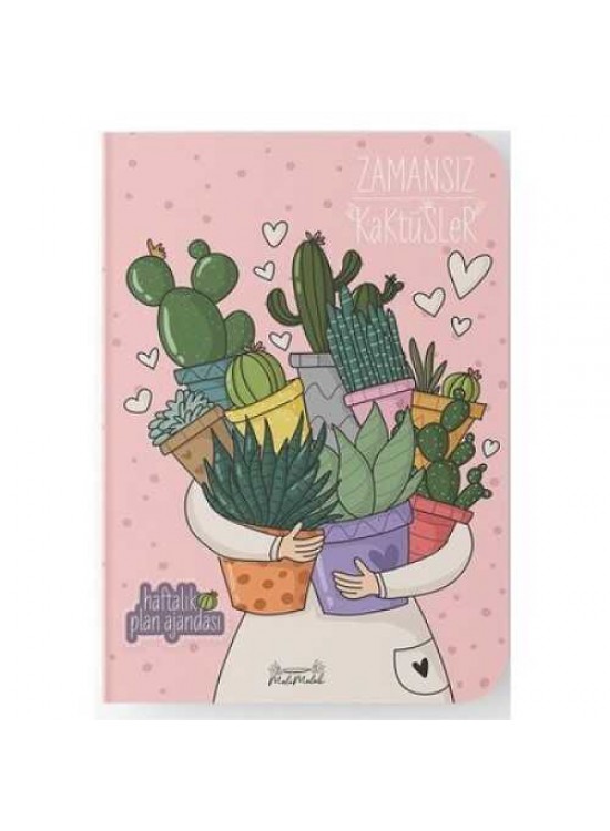 Melimelek Kaktüs Zamansız  Kaktüs Sukulent 15x21,5