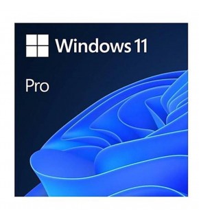 Microsoft Windows 11 Pro 64Bit Türkçe Kutu HAV-00159 Kutulu İşletim Sistemi