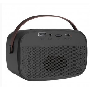 Mikado MD-57BT Endless 5W Siyah TF + USB + AUX + BT Destekli 2 Wireless Karaoke Mikrofon 1200mAh