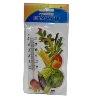 Mıknatıslı Termometre 14,5 CM