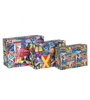 Mikro 4221 St. 3 Lü Küçük Kutu Seti Random