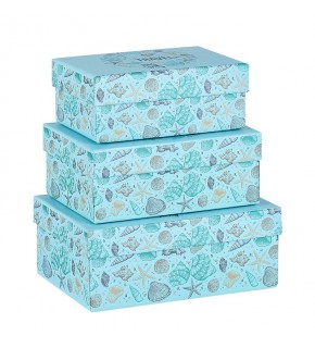 Mikro 4231 St. 3 Lü Küçük Kutu Seti Sea Life