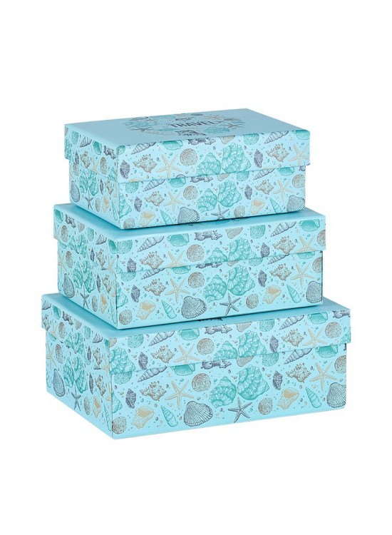 Mikro 4231 St. 3 Lü Küçük Kutu Seti Sea Life