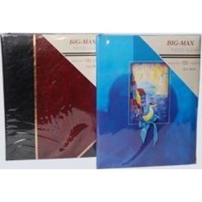 Minimax Fotoğraf Albümü Geçmeli Big-Max 100 LÜ 13x18 ALB5710