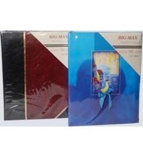 Minimax Fotoğraf Albümü Geçmeli Big-Max 100 LÜ 13x18 ALB5710