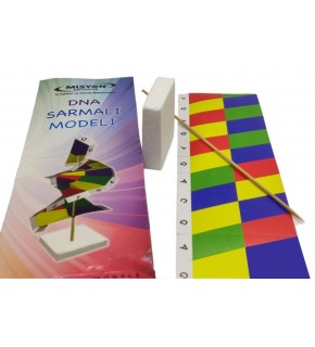 Misyon Dna Sarmalı Modeli Yapımı