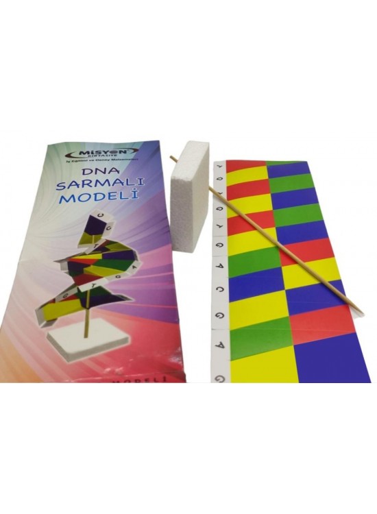 Misyon Dna Sarmalı Modeli Yapımı Misyon Dna Sarmalı Modeli Yapımı