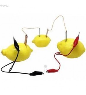 Misyon Limon Deney Seti MSY-03