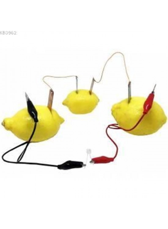 Misyon Limon Deney Seti MSY-03 Misyon Limon Deney Seti MSY-03