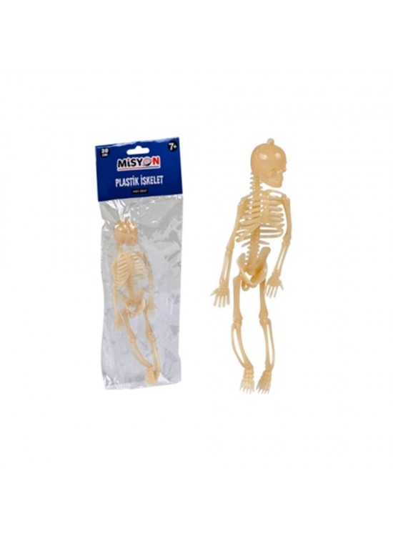 Misyon Plastik İskelet Ec-27 MSY-5647