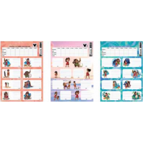 Moana Ders Programlı 3 Lü Etiket